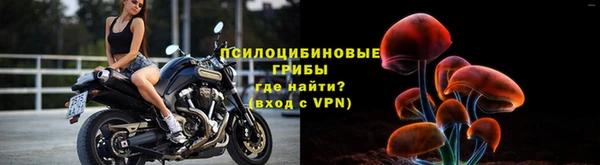 синтетический гашиш Богородск