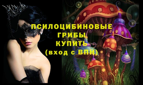 синтетический гашиш Богородск