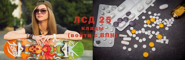 стаф Бородино