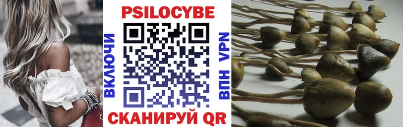 Галлюциногенные грибы мухоморы  продажа наркотиков  Вятские Поляны 